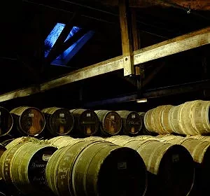 Cognac - 80 km © Arnaud Galy
