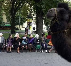 Boulevard un dimanche après-midi - L'viv - Ukraine © Arnaud Galy
