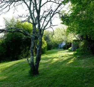 Illustration de Terrasse de la maison du Goupillou au début du printemps