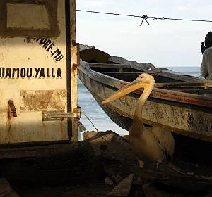 Chacun attend le retour des pêcheurs - Saint-Louis - Sénégal © Arnaud Galy
