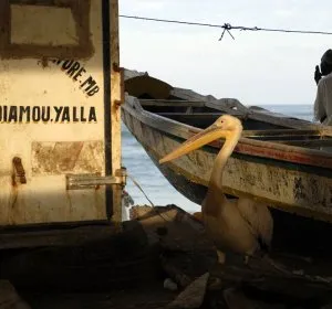 Illustration de Chacun attend le retour des pêcheurs - Saint-Louis - Sénégal