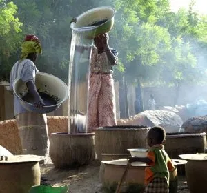 Illustration de Les chrétiennes concoctent la bière de mil - Ségou - Mali