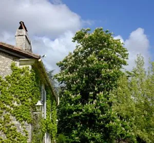 Illustration de La maison du Goupillou