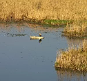 Pêcheur cerné par les les roseaux - Sud de la Moldavie © Arnaud Galy
