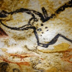 Lascaux (Montignac) - 120 km © Arnaud Galy
