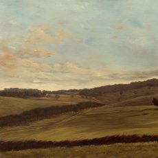 incomparable_topographie_-_73x100cm.jpg