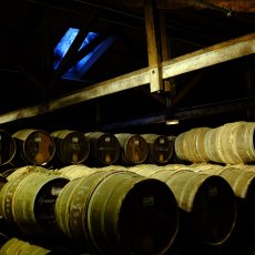 Cognac - 80 km © Arnaud Galy
