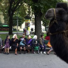 Boulevard un dimanche après-midi - L'viv - Ukraine © Arnaud Galy
