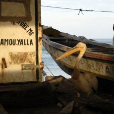 Chacun attend le retour des pêcheurs - Saint-Louis - Sénégal © Arnaud Galy
