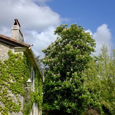La maison du Goupillou © Arnaud Galy
