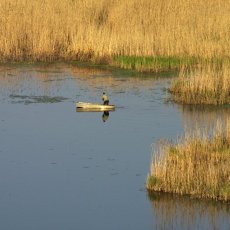 Pêcheur cerné par les les roseaux - Sud de la Moldavie © Arnaud Galy
